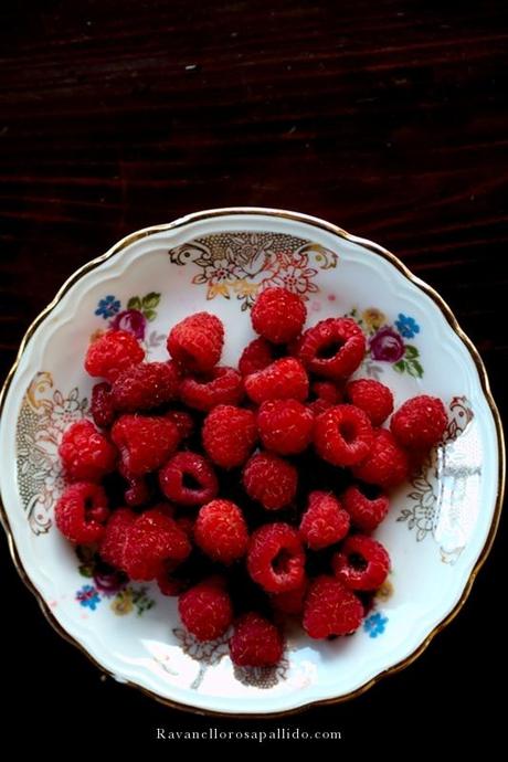 Yogurt e Lamponi al cucchiaio - Rasberries no-bake cake