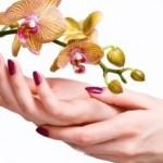 Manicure fai da te: mani perfette in sei mosse