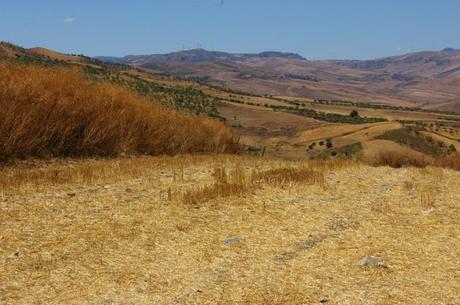 Campagna siciliana