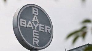 bayer