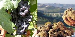 Le Langhe terra di bellissimi borghi Patria del vino e del tartufo