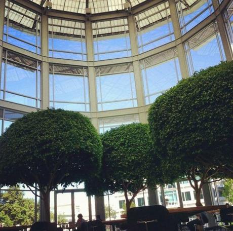 Esclusive foto rubate dal Campus di Cupertino