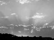 Scatti bianco nero: digitale analogico