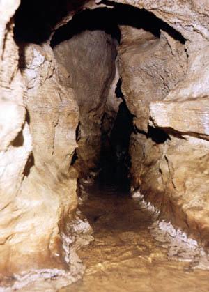 Visita guidata grotta Burritta, Noto (SR)