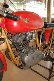 Collezione Saltarelli 2