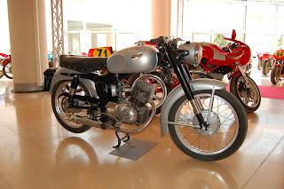 Collezione Saltarelli 2