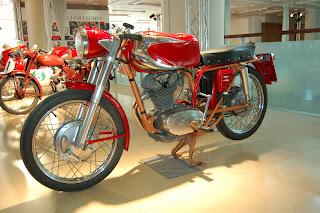 Collezione Saltarelli 2