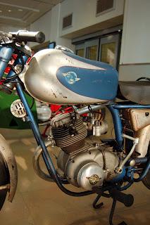 Collezione Saltarelli 2