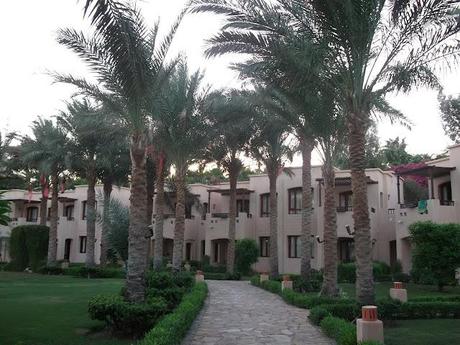 SHARM EL SHEIKH in Love!!!