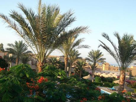 SHARM EL SHEIKH in Love!!!
