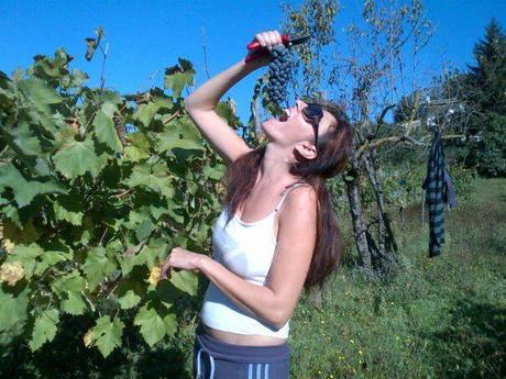 UNA GIORNATA AL PAESELLO A VENDEMMIARE