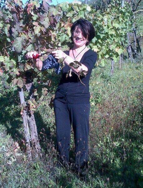 UNA GIORNATA AL PAESELLO A VENDEMMIARE