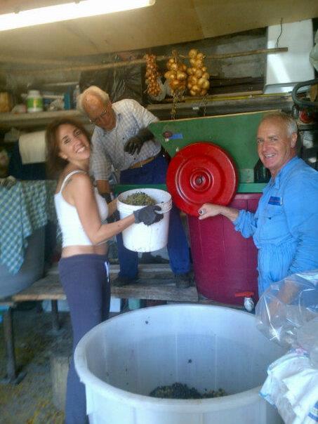 UNA GIORNATA AL PAESELLO A VENDEMMIARE