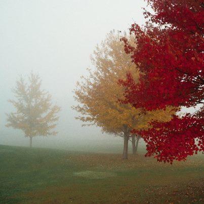 OTTOBRE  A COLORI