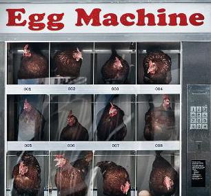 egg-machine-noah