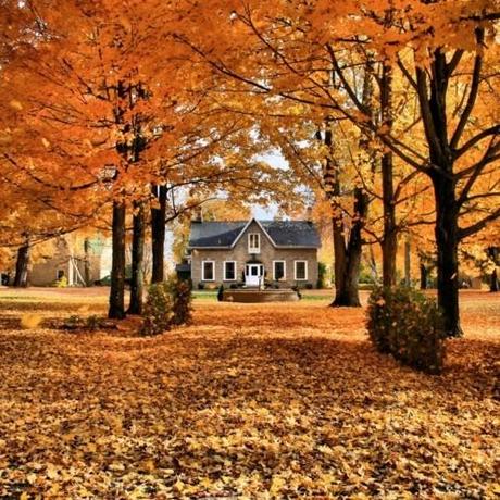 cottage, autunno