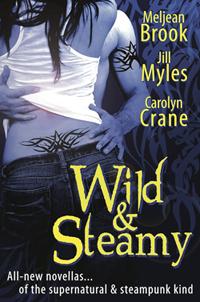 wild steamy cover