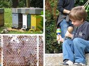 Festa delle laboratori maneggio