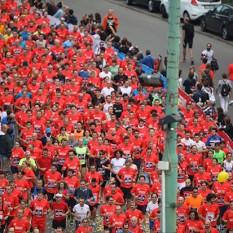 Meglio di come mi aspettassi!