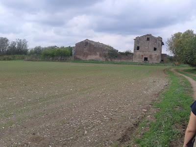 Trekking Tor Fiscale Roma