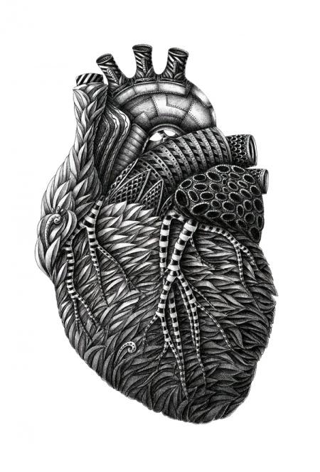 Anatomy by Alex Konahin
