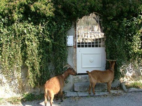 La maison de Mathilde…