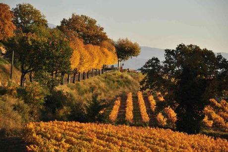 La maison de Mathilde…