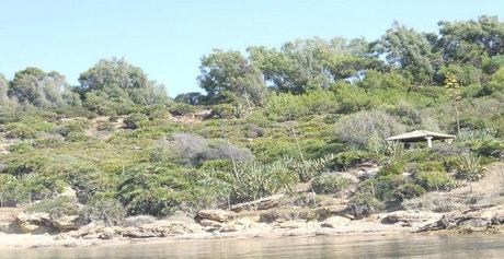 Riserva naturale, mare e altro: alla scoperta dell’ oasi di Selinute