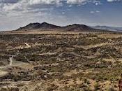 Intelligenza carnivora