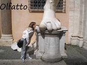 “Dimmi senso