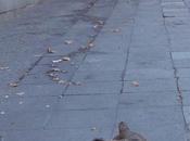 Quei durissimi anni ’90…