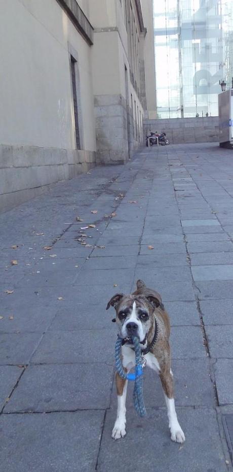 Quei durissimi anni ’90…