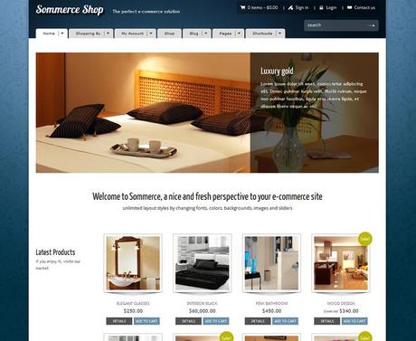 eCommerce WordPress Themes