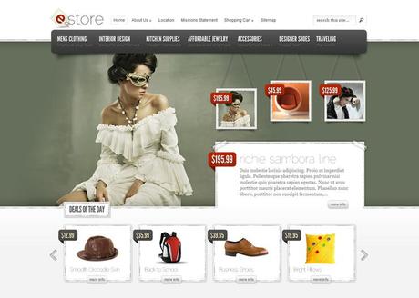 eCommerce WordPress Themes