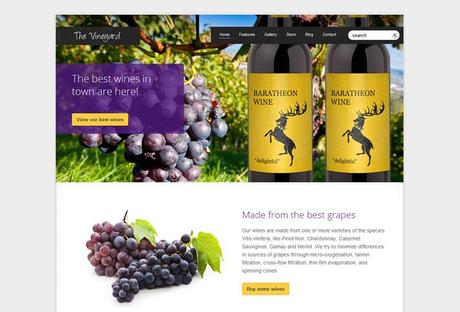 eCommerce WordPress Themes