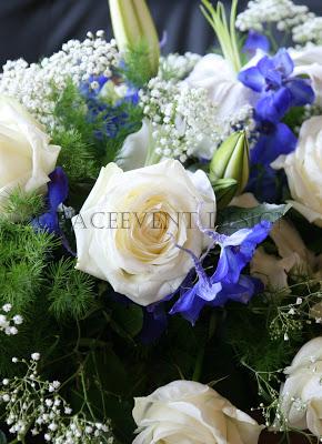 Matrimonio in Bianco Blu con cadeaux  Bio - Wedding Blue Theme