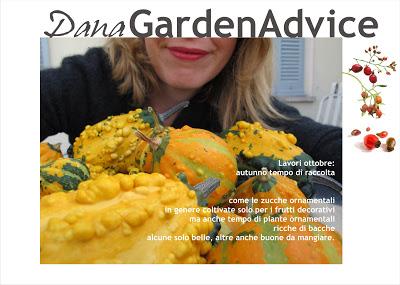 DanaGardenAdvice_ottobre