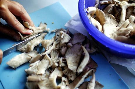 Funghi in preparazione Vellutata di funghi e zucca