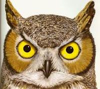 Le banche centrali stampano moneta per tenere insieme il sistema. Ma non funzionerà