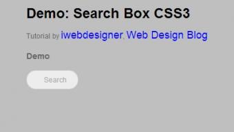 Creare Search Box CSS3 espandibile