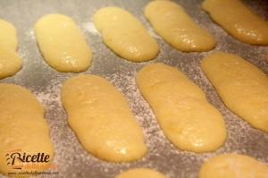 savoiardi morbidi ricetta