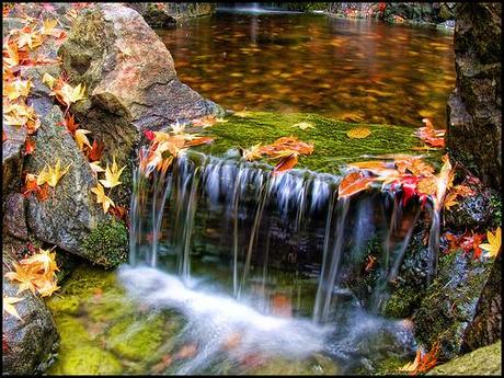 Colorfall by ecstaticist, on Flickr