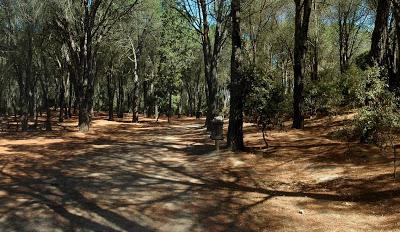 La forma non c'è più