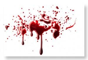 Omicidio a Rovigo Uomo ucciso da prostituta