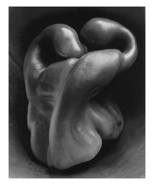 Edward Weston