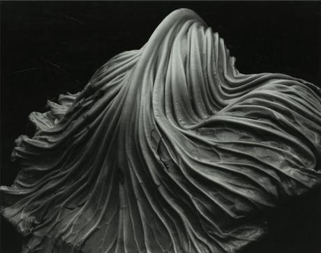 Edward Weston