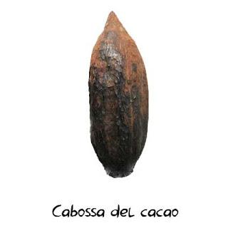 La fabbrica di cioccolato Ziccat, Umpa-Lumpa!