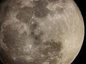Anteprima: Pleine Lune, nuova collezione natalizia T.LeClerc