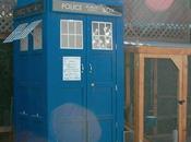 pollaio TARDIS