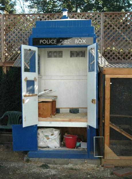 Il pollaio TARDIS